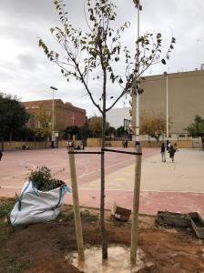 WhatsApp Image 2019-11-24 at 19.33.09 (2)