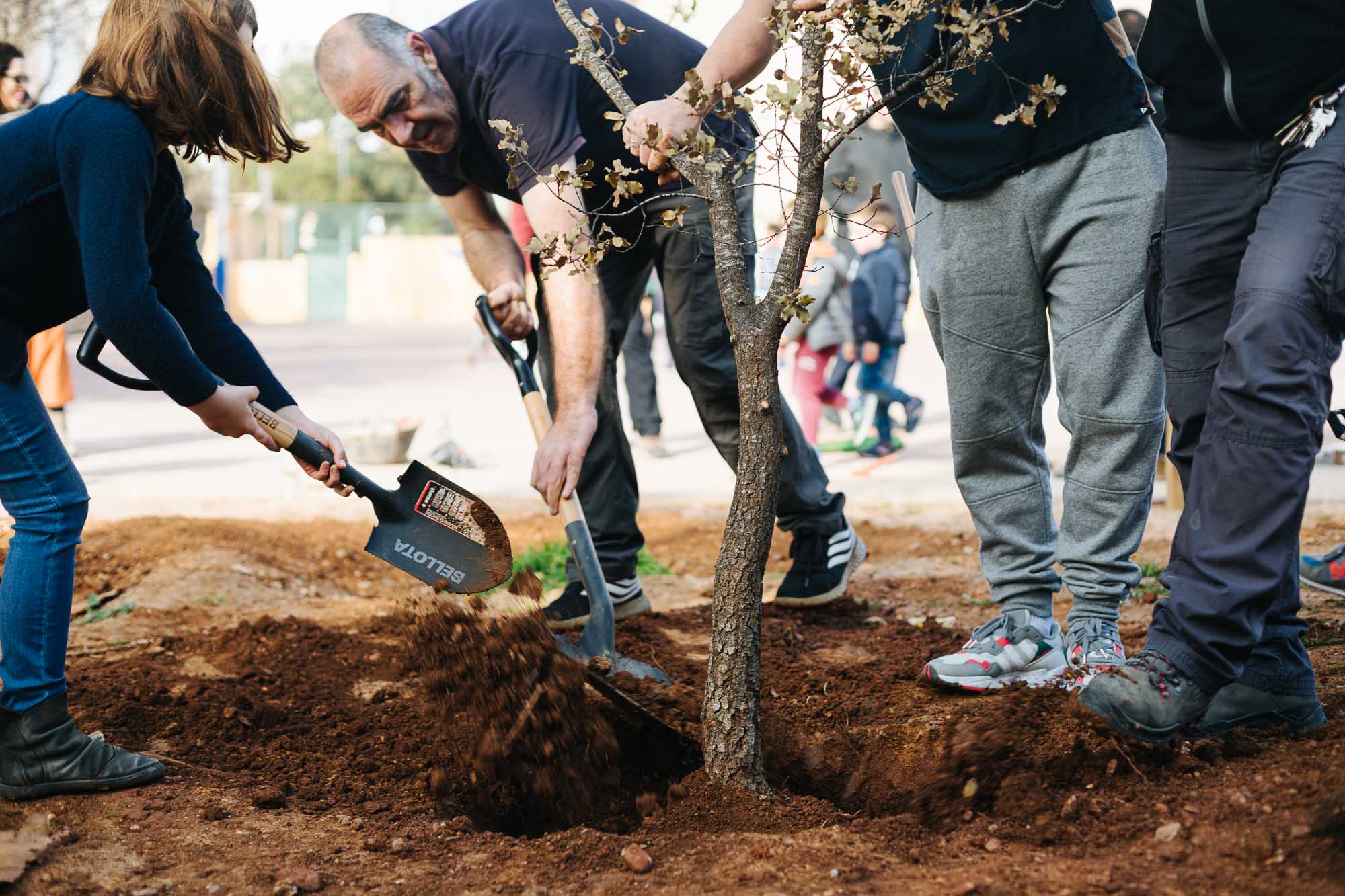 dia-arbre-benimaclet-2020-foto-caixafosca-10